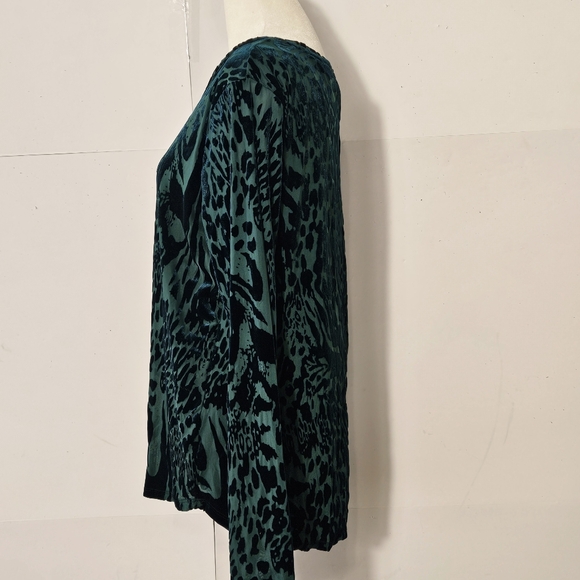 Simply Vera Vera Wang Size L Green Velvet Long-Sleeved Round Neck Blouse Shirt T - Picture 3 of 16